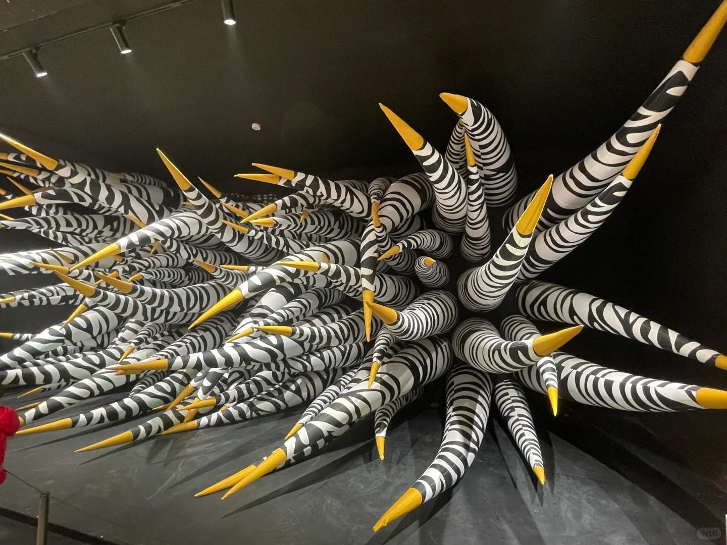 Hangzhou Central Exploration Store