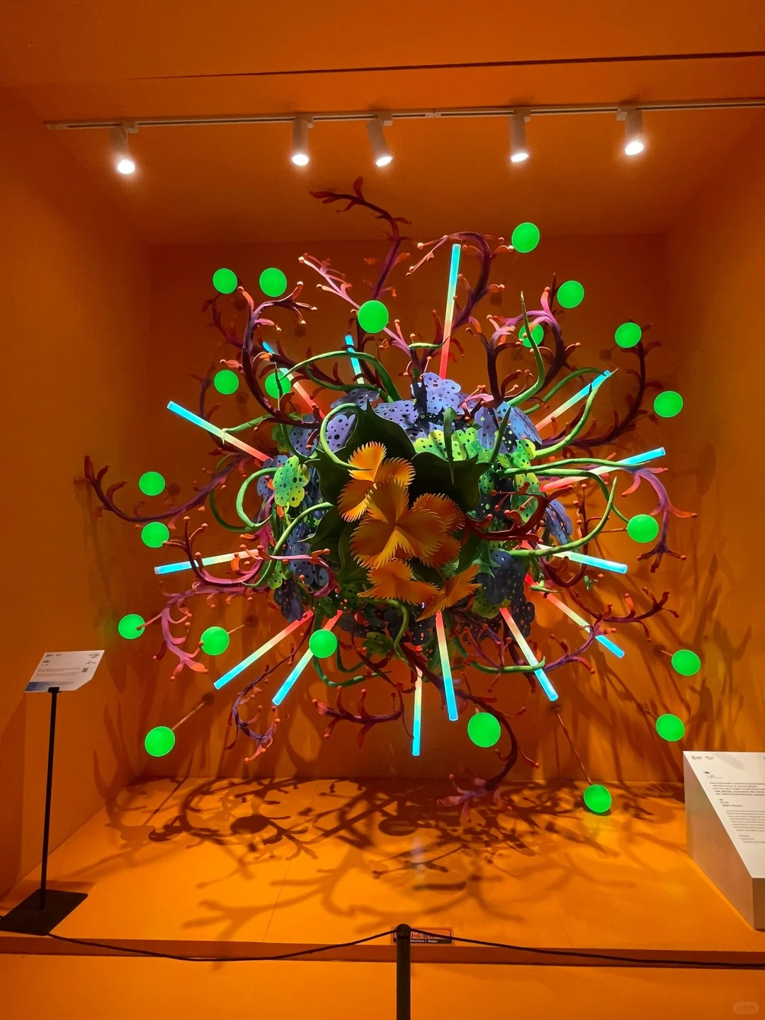 Hangzhou Central Exploration Store