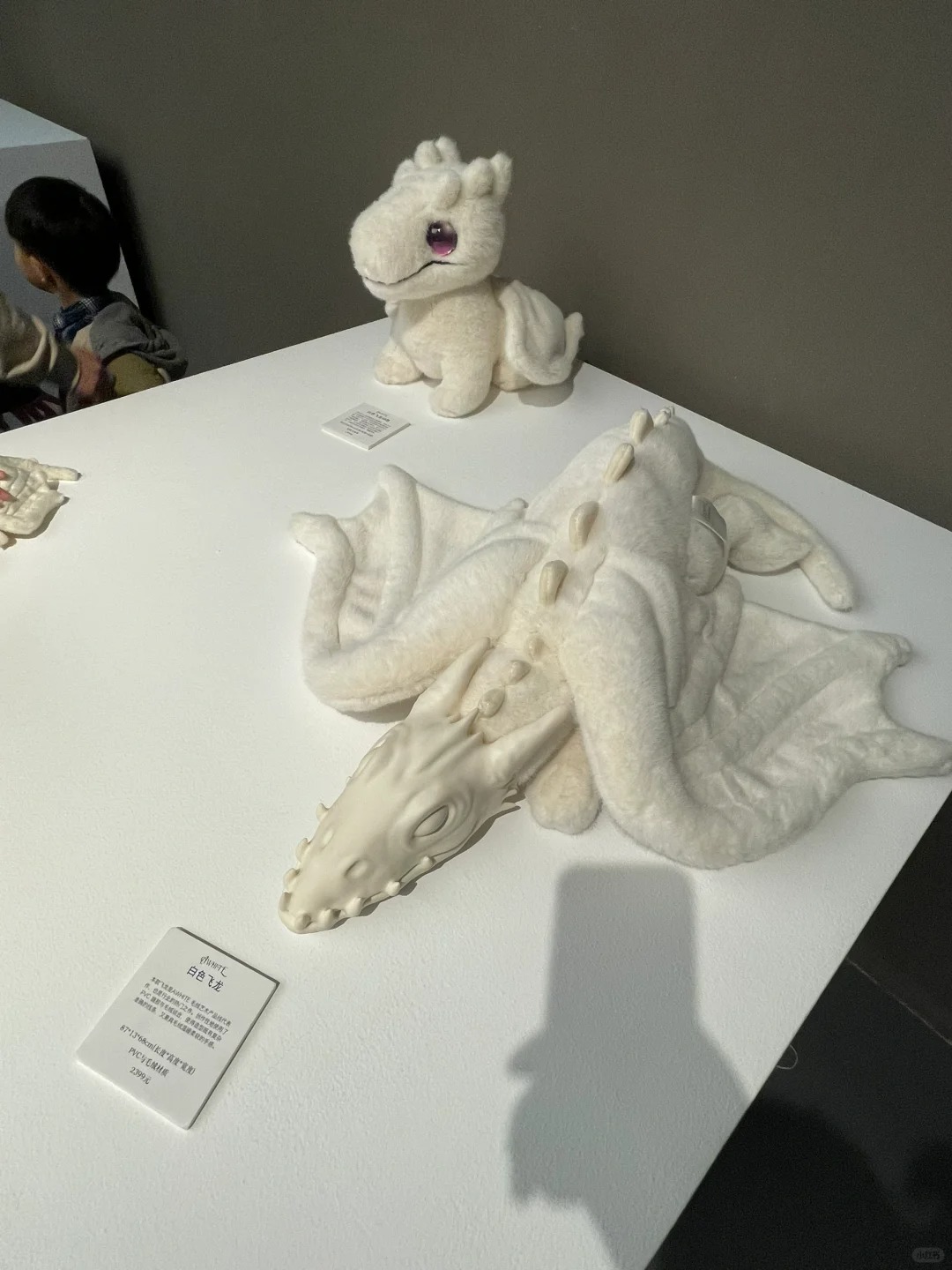 Hangzhou Center Store Exploration Sharing