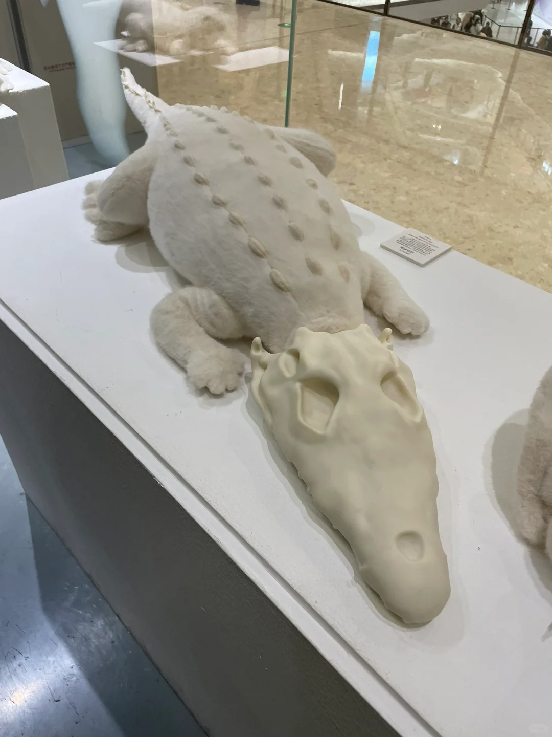 Hangzhou Center Store Exploration Sharing