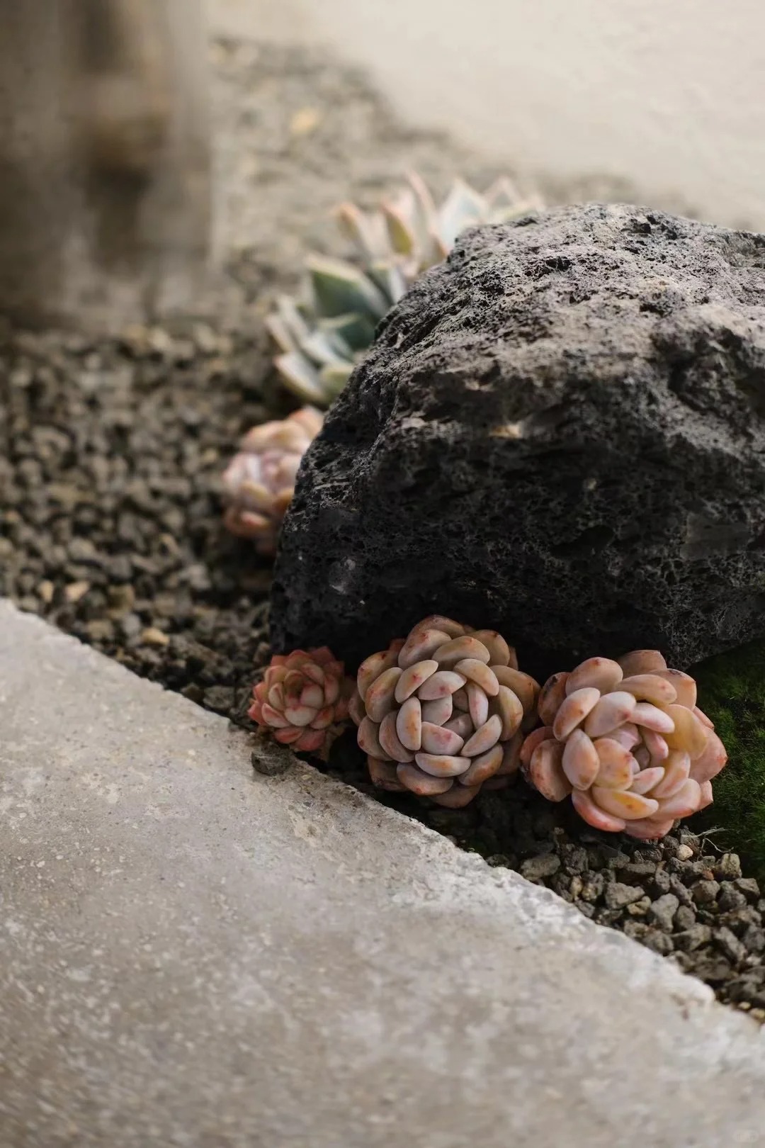 Drops Coffee Nanchang Branch